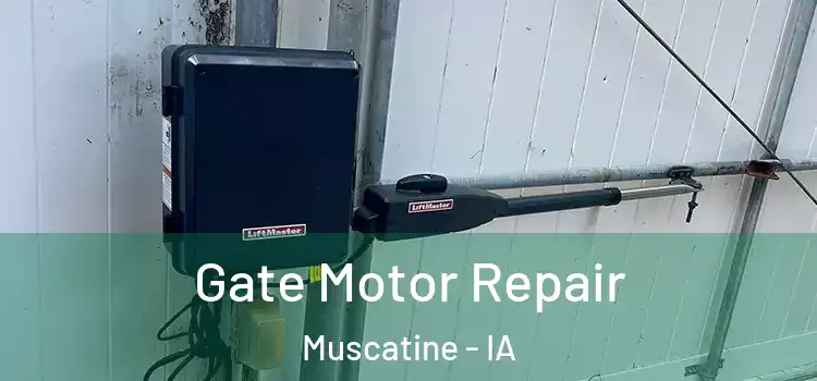 Gate Motor Repair Muscatine - IA