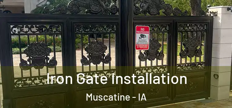 Iron Gate Installation Muscatine - IA