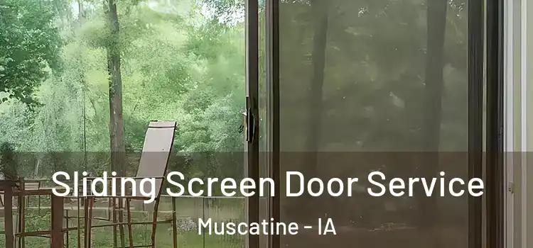 Sliding Screen Door Service Muscatine - IA